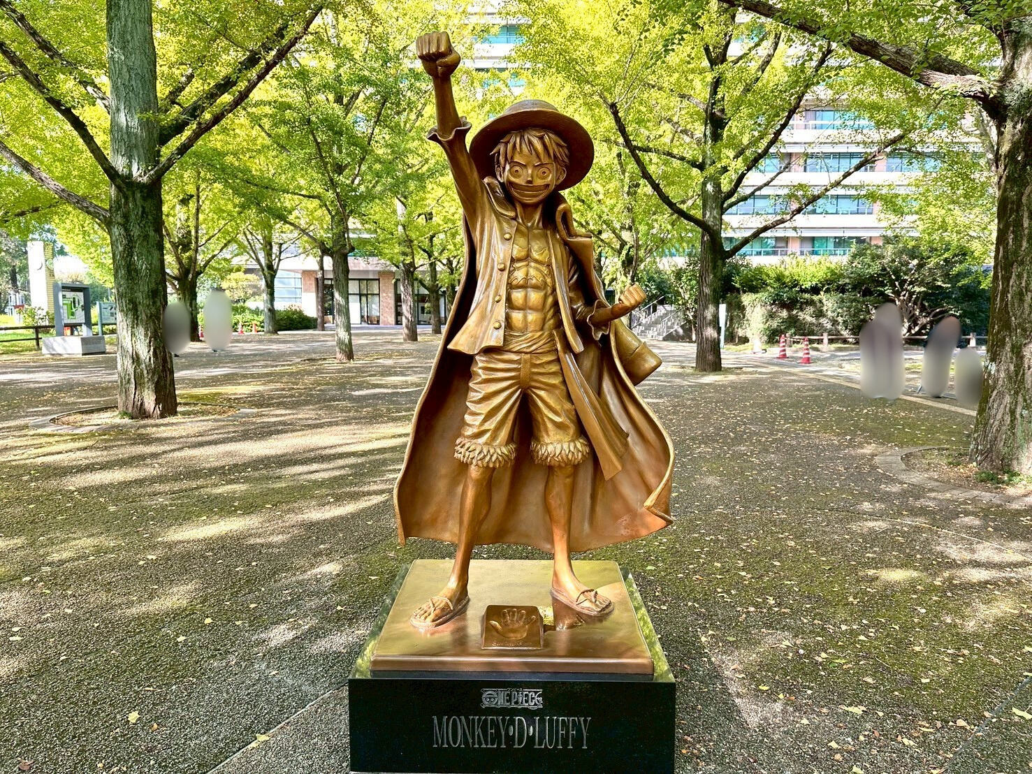 活動歴および当時の関連ビジュアル記録